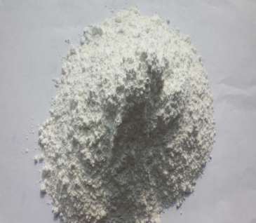 ̼���}�Ļ��W�����v��